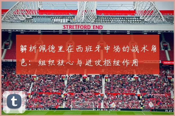 解析佩德里在西班牙中场的战术角色：组织核心与进攻枢纽作用