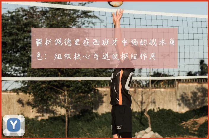 解析佩德里在西班牙中场的战术角色：组织核心与进攻枢纽作用